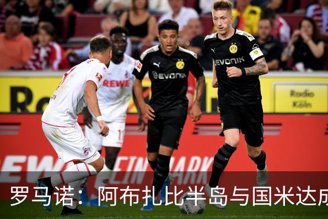 罗马诺：阿布扎比半岛与国米达成口头协议，200万欧租阿斯拉尼